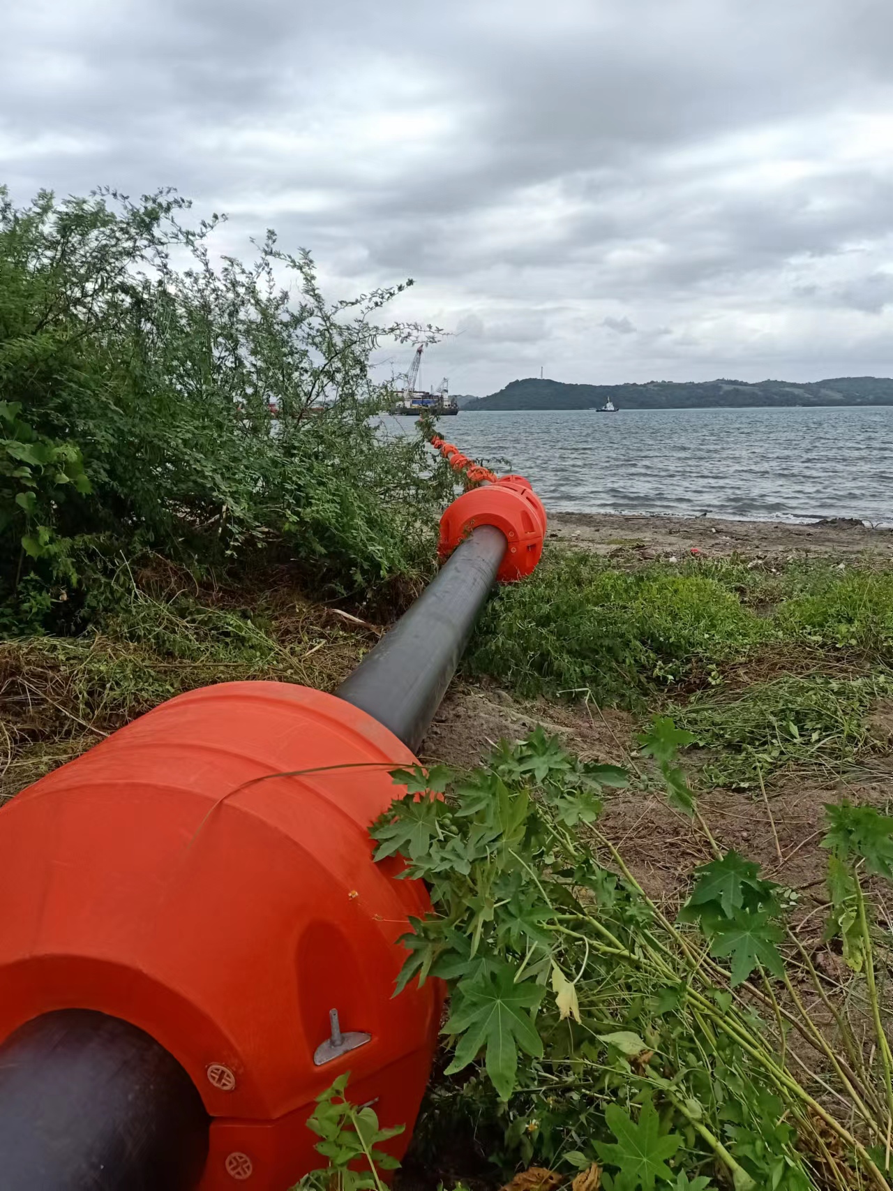 Land Reclamation